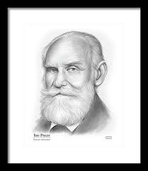 Pavlov Framed Art Prints for Sale