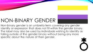 That it doesn't matter whether i'm a man or a woman, because i'm neither. Non Binary Genders Ppt Video Online Download