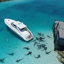 1 714 Likes 84 Comments Excellence Bahamas Bahamasyachtcharters On Instagram Tag Someone Who Wants To Come Swim In Exuma With Us Boat Yacht Boat Design