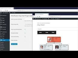 The Org Chart Wordpress Plugin Youtube