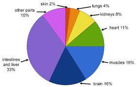 The Open Door Web Site Energy And Activity Activity In A