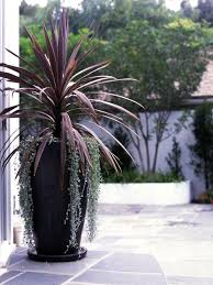 Design Budgeting 101 Outdoor Rooms Garden Large Planters Design By Joan Grabel The Post Desi Large Outdoor Planters Potted Plants Outdoor Planter Design