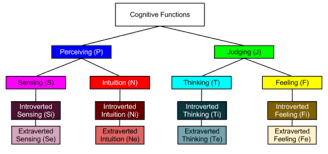 Myers Briggs Type Indicator More About Cognitive Functions