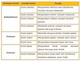 We did not find results for: Fungsi Enzim Tripsin Cara Golden