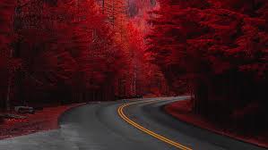 Una manera de abordar los colores es clasificarlos en dos grupos generales: Hecho Por El Hombre Carretera Pino Rojo Arbol Fondo De Pantalla Hd Wallpaperbetter