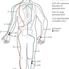 Feb 11, 2020 · @alwaysclau: Pdf Defining Meridians A Modern Basis Of Understanding