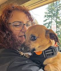 Lana Hechtman Ayers: Fun Stuff