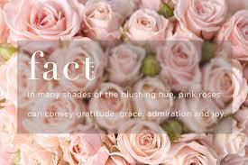 Light pink roses show feelings of admiration and sympathy. Know Your Rose Meanings Give The Right Rose Fresh By Ftd