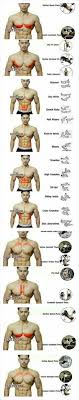 Gogus Karin Antrenmani En 2020 Musculation Exercice Musculation Exercice Musculation Pectoraux