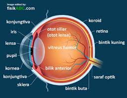 Check spelling or type a new query. Pengertian Daya Akomodasi Titik Dekat Dan Jauh Mata Contoh Soal Dan Pembahasan Fisikabc