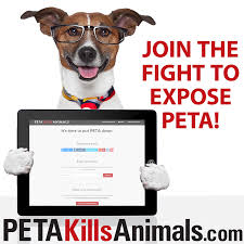 This year, 88% of dogs and cats under the group's care were poisoned and disposed of. Join The Fight Here Peta Kills Animals Facebook