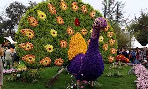 CHELSEA FLOWER SHOW- TRIỂN LÃM HOA CHELSEA - Tư Vấn Du Học Alice Academy