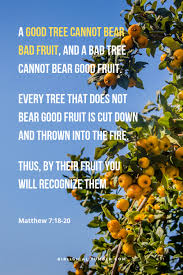 Because the fig tree did not bear fruit and there are no leaves in the vine, the fruit of olives failed and the threshing floors made no produce, the sheep from the flock are cut off and there are no bulls in the herds brenton septuagint translation Jesus Christ The World S Savior And Redeemer Bibligical A Good Tree Cannot Bear Bad Fruit And