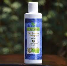 Lots of commercial shampoos contain harsh chemicals that you may be sensitive too, and may even be part of the reason for your hair loss. Phytoworx Organic Hair Loss Shampoo With Plant Stem Cells For Hair Recovery And Regrowth Organic Hair Hair Loss Shampoo Plant Stem Cell