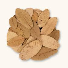 Image result for Psidium guajava