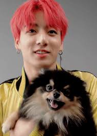 my mafia boss vkook ff from youtube english kopek pomeranya sarkicilar