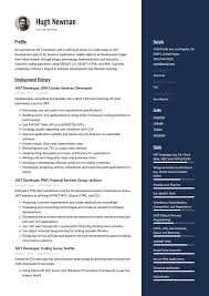 net developer resume & writing guide