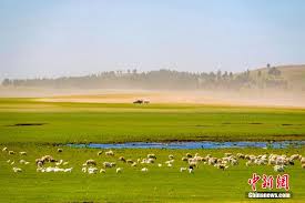 多彩贵州网- 沉浸式赏呼伦贝尔夏景