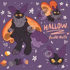 Furry Fursona Poodle Moth Adoptable Design hallow - Etsy