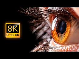 Browse 696 8k resolution stock photos and images available or start a new search to explore more stock photos and images. Views Everday Things Seen In 8k Ultra Hd Video Boomers Daily