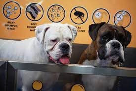 To be determined at time of consultation. How To Set Dog Sitting Rates Godaddy Blog