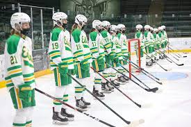 Habs lacking confidence to score. Mn Girls Hockey Hub High School Girls Hockey News Scores Standings
