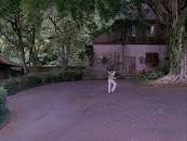 Image result for magnum pi king kamehameha club location