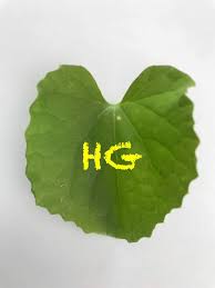 Image result for Kedrostis foetidissima