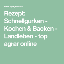 Schnellgurken Eingelegtes Essen Schnellgurken Rezept Rezepte