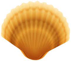 Clam Shell Transparent Png Image Clam Shell Clip Art Art Decoration