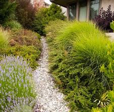 Front yard landscaping ideas with rocks. Removing Your Lawn