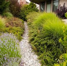 Check spelling or type a new query. Removing Your Lawn