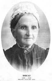 What's New · The Macky Family in New Zealand