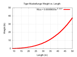 Tiger Muskellunge Wikipedia