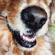 Free shipping anywhere in canada! Pet Portraits By Brianna Schretlen Home Facebook