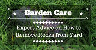 Check spelling or type a new query. Expert Advice On How To Remove Rocks From Yard