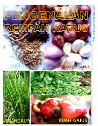Rempah ratus adalah rempah yang terdiri daripada beberapa jenis sayur dan herbal yang berlainan. Pengenalan Rempah Ratus Rempah Ratus Wannura