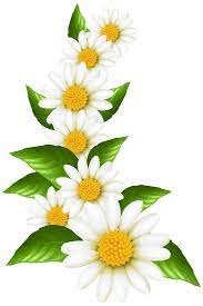 Pin By Shelley Chapman On Floral Botanical Flowers Print Flower Painting Flower Clipart