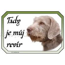 Image result for slovenský ohař hrubosrstý