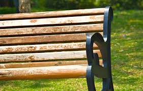 Free Photo Wooden Chair Airondack Outdoor Woodland Free Download Jooinn