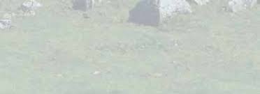 Buckling an orogen: The Cantabrian Orocline Buckling an orogen: The  Cantabrian Orocline