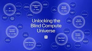 Nillion 全方位研报：横跨AI+ 隐私两大赛道的盲计算龙头 ...