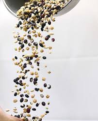 Legumbres: semillas nutritivas para un futuro sostenible