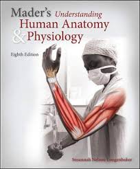 14 Best Anatomy And Physiology Books Anatomy Textbooks Bioexplorer