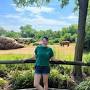 Profile Picture of Marissa Tompkins - Merit Pages (@meritpages.com) on Google