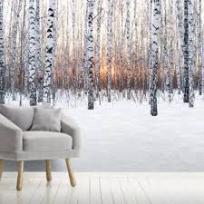 Winter sun wallpaper winter nature wallpapers in jpg format for 1280×1024. Birch Tree Winter Sun Wallpaper Wallsauce Ae