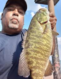 Crappie, big smallmouth, shallow largemouth, browns…