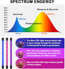 Maybe you would like to learn more about one of these? Amazon Com Grow Light Ankace 3 Head Timing 5 Dimmable Levels Plant Grow Lights For Indoor Plants With Red Blue Spectrum Adjustable Gooseneck 3 6 12h Timer 3 Switch Modes Garden Outdoor