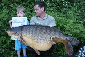 Carpe 25