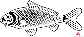 For boys and girls, kids and adults, teenagers and toddlers, preschoolers and older kids at school. Fish Outline Freshwater Fish Clipart Clipartfest Jpeg Clipartix